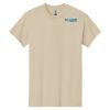 Heavy Cotton ™ 100% Cotton T Shirt Thumbnail